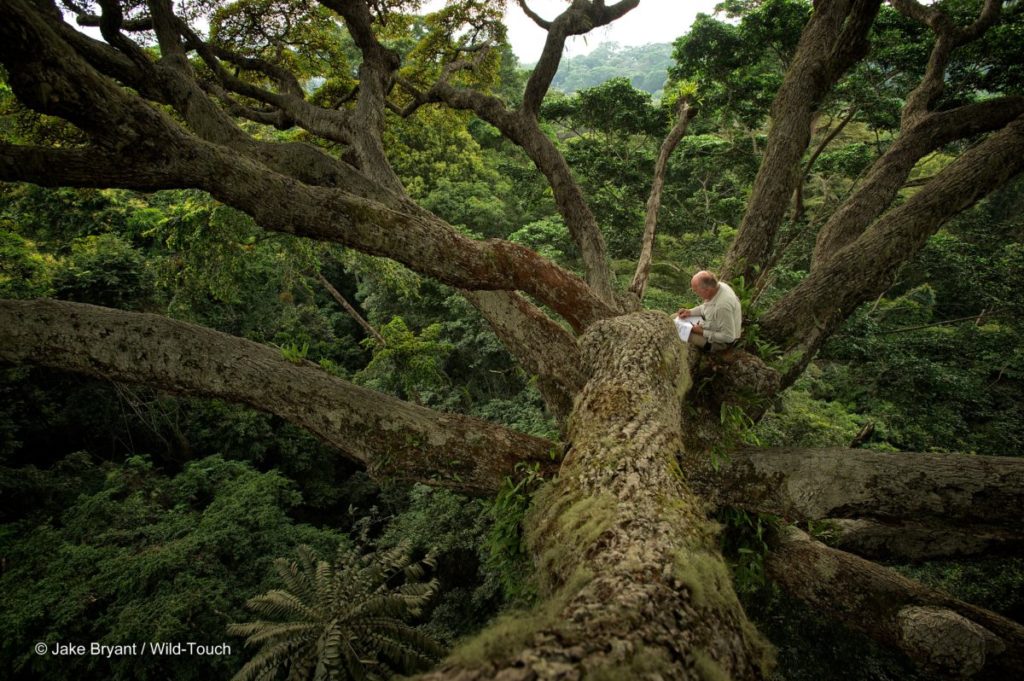 MOABI l'application des arbres remarquables