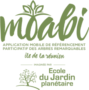 MOABI l'application des arbres remarquables