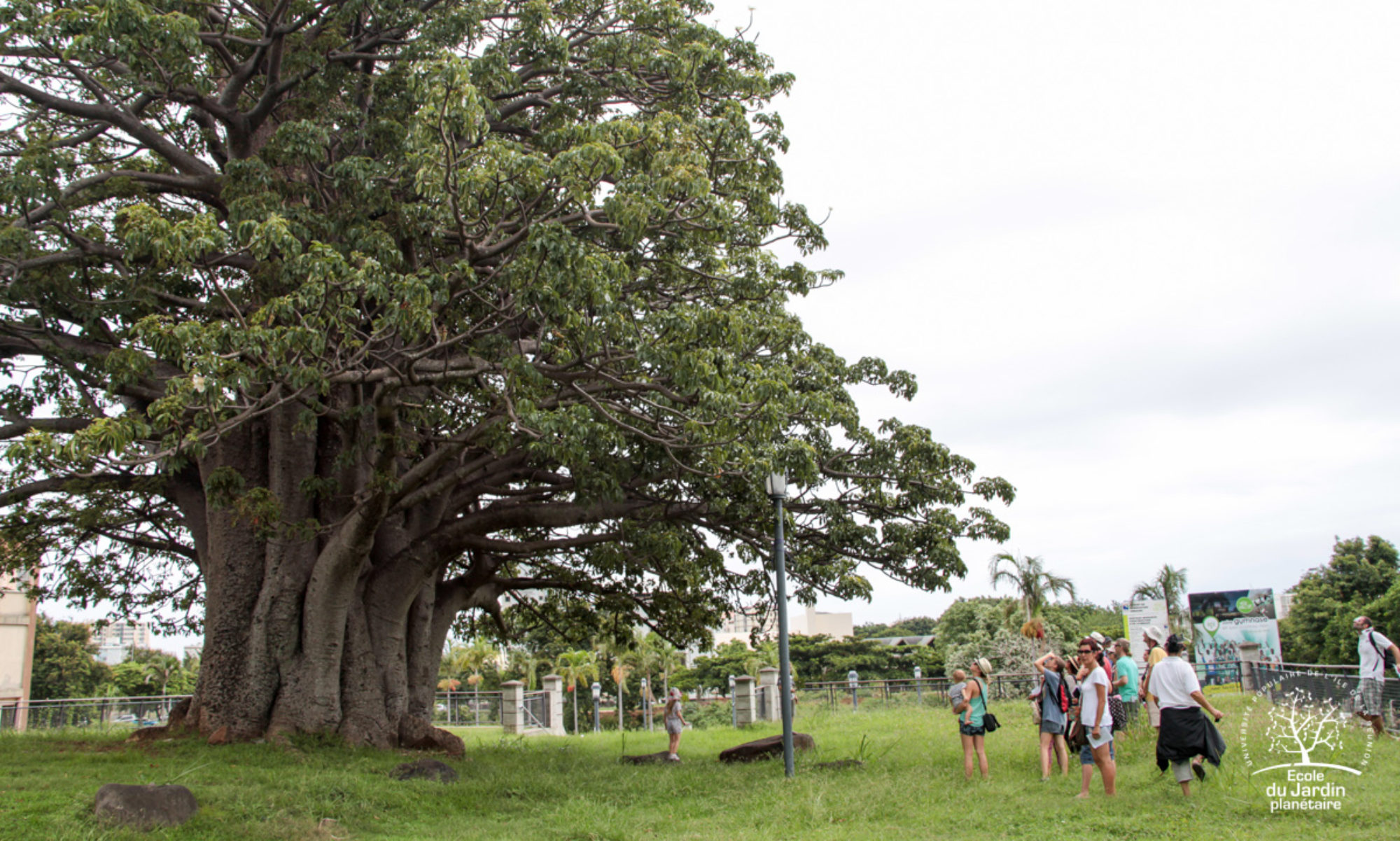 MOABI l'application des arbres remarquables